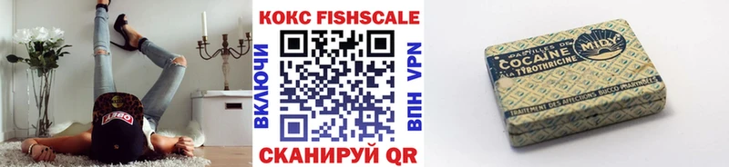 МЕГА ссылка  Чайковский  КОКАИН Эквадор 