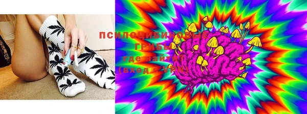 шишки Алексин