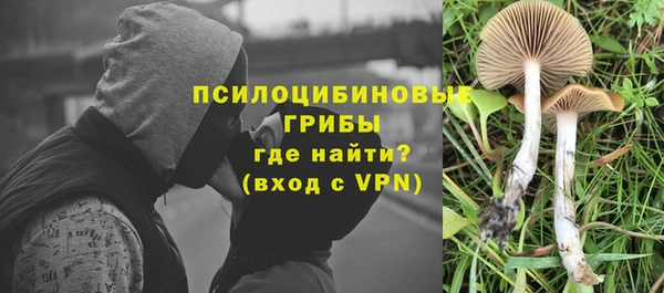 твердый Медвежьегорск