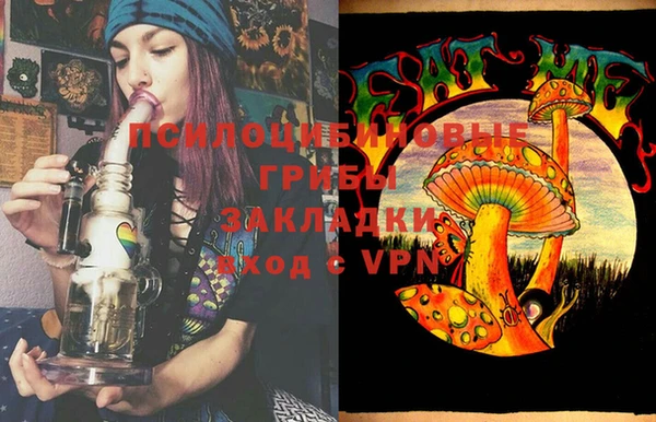 дурь Алексеевка